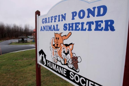 Griffin Pond Animal Shelter